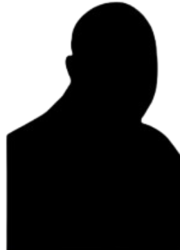 Chief Visionary Officer